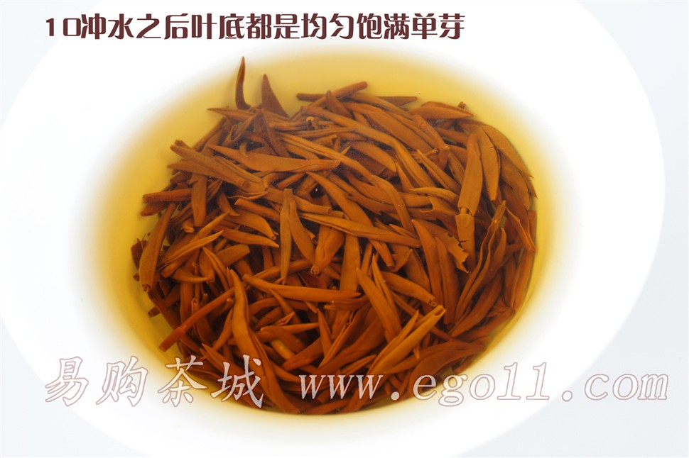武夷山高山头春原味蜜香金骏眉叶底都是单芽