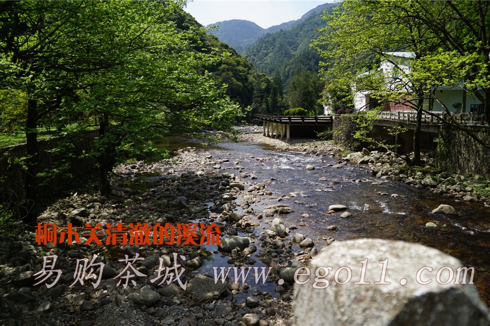 桐木关的溪流