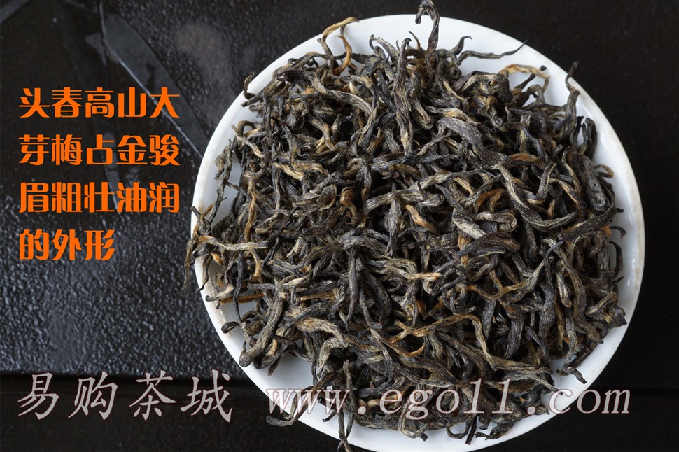 高山头春大芽梅占金骏眉干茶
