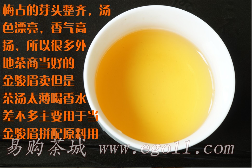 高山头春大芽梅占金骏眉生长环境