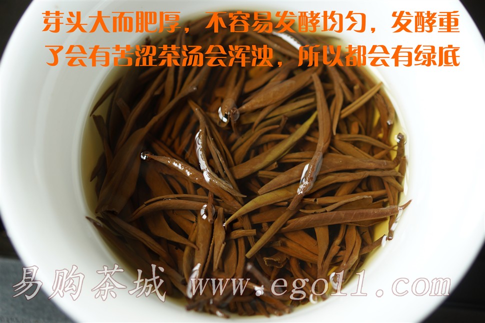 高山头春大芽梅占金骏眉水中叶底